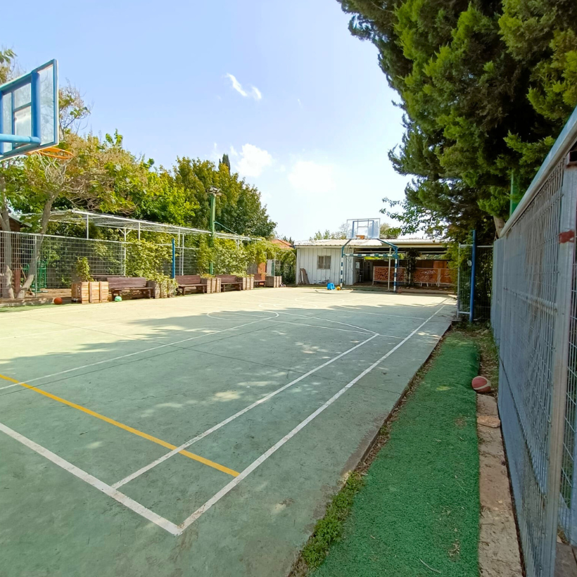 Basketball