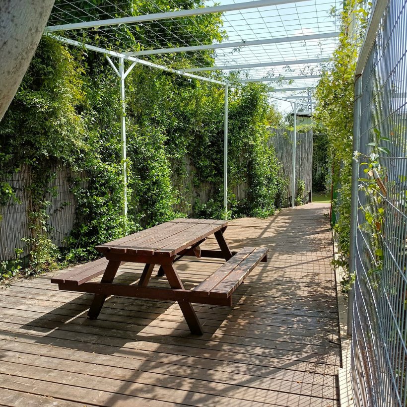 Grounds