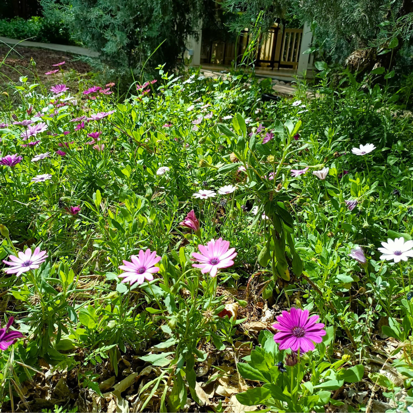 Grounds