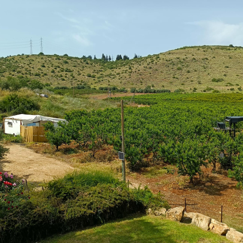 Grounds