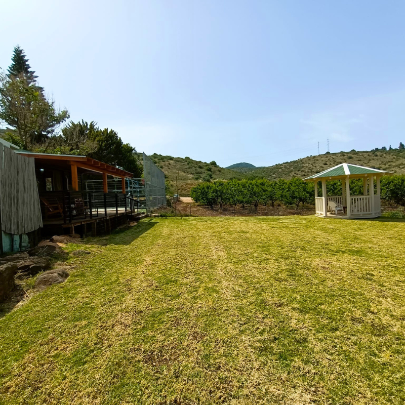 Grounds