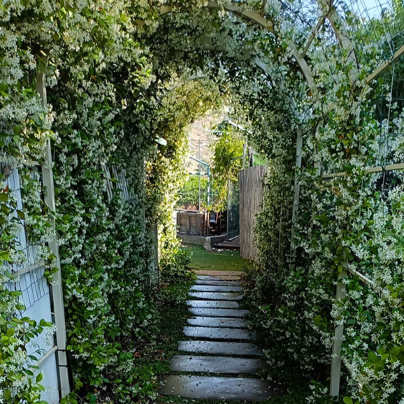Grounds