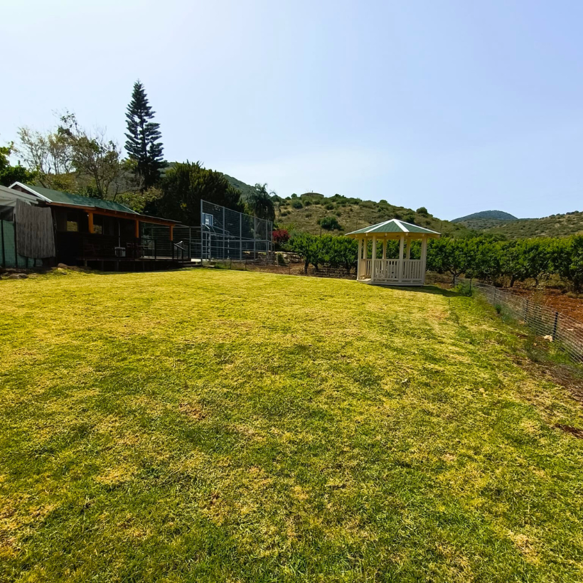 Grounds
