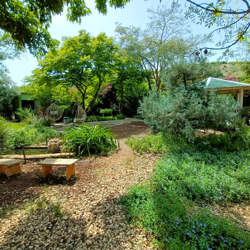 Grounds