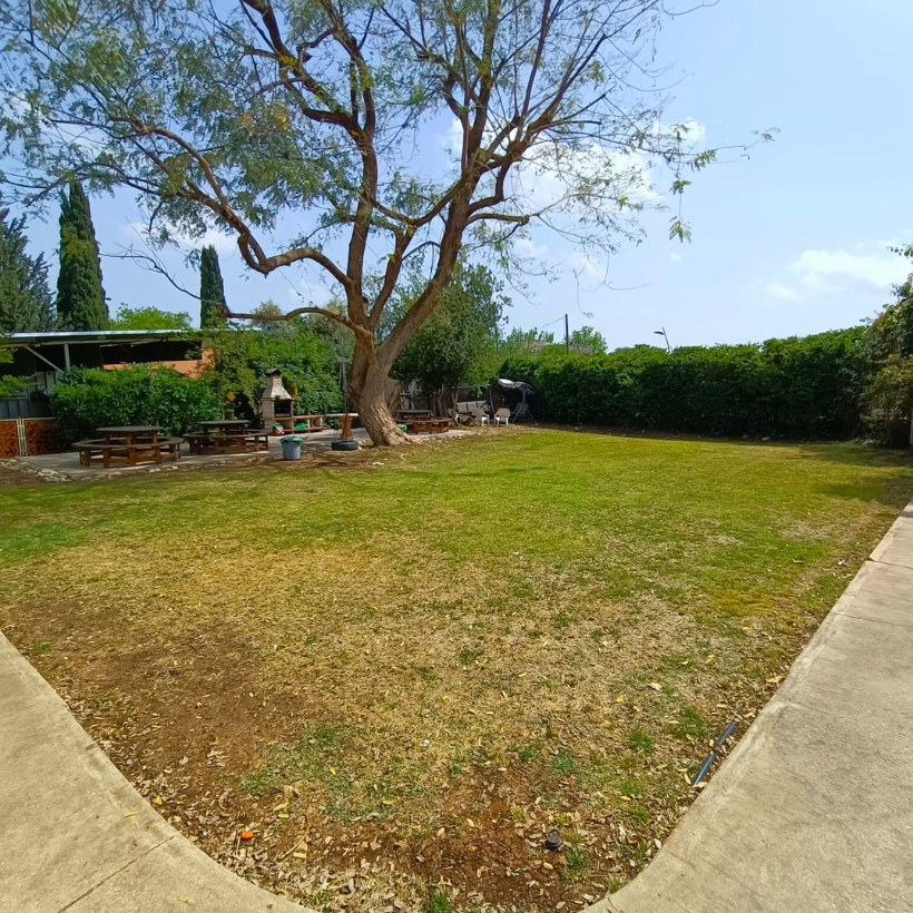 Grounds