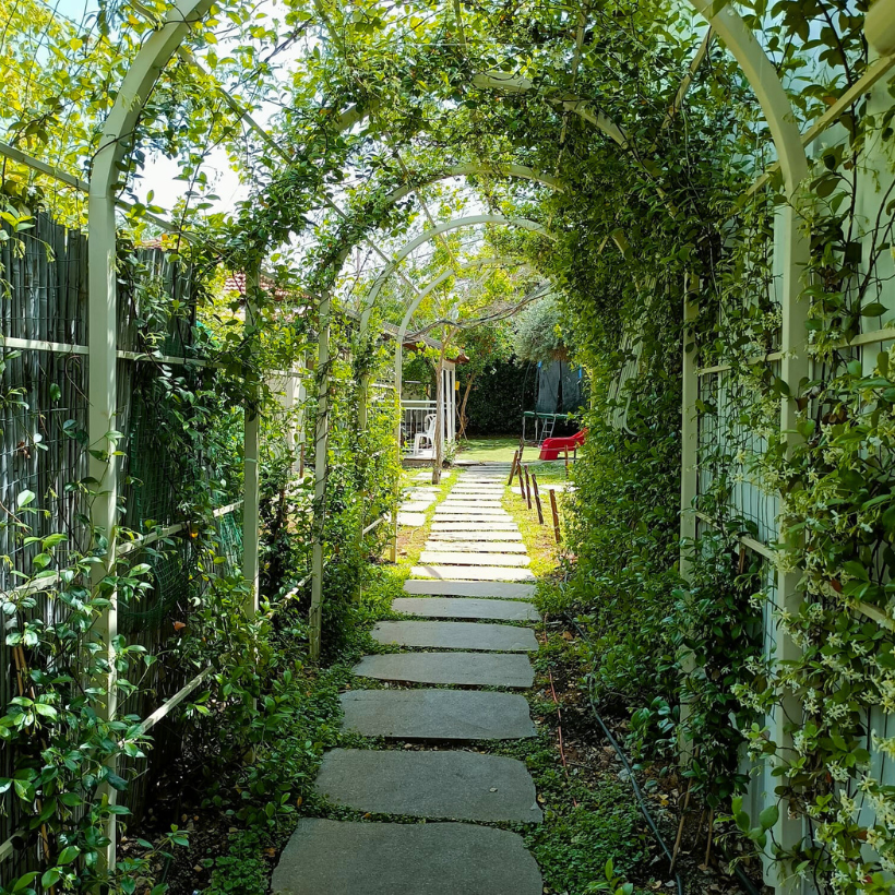 Path to Cottage