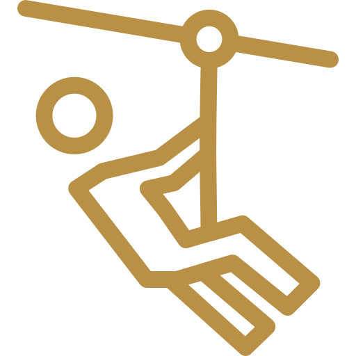 Zip Line